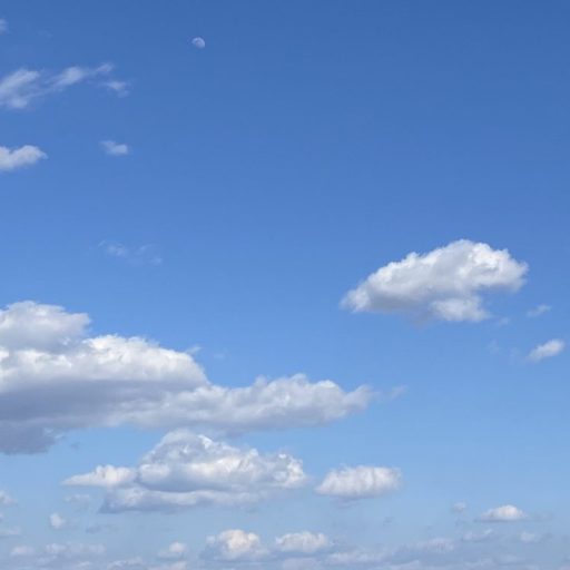 ＤＲＨ＋ってどうなの？😕 スカルプケアの効果は何ですか？⭐️高濃度ヘマチン配合⭐️髪の美容原液⭐️スカルプシャンプー⭐️SUNNY STORE⭐️